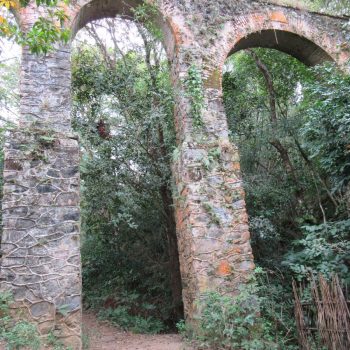 Ilha Granda - jungle/aquaduct